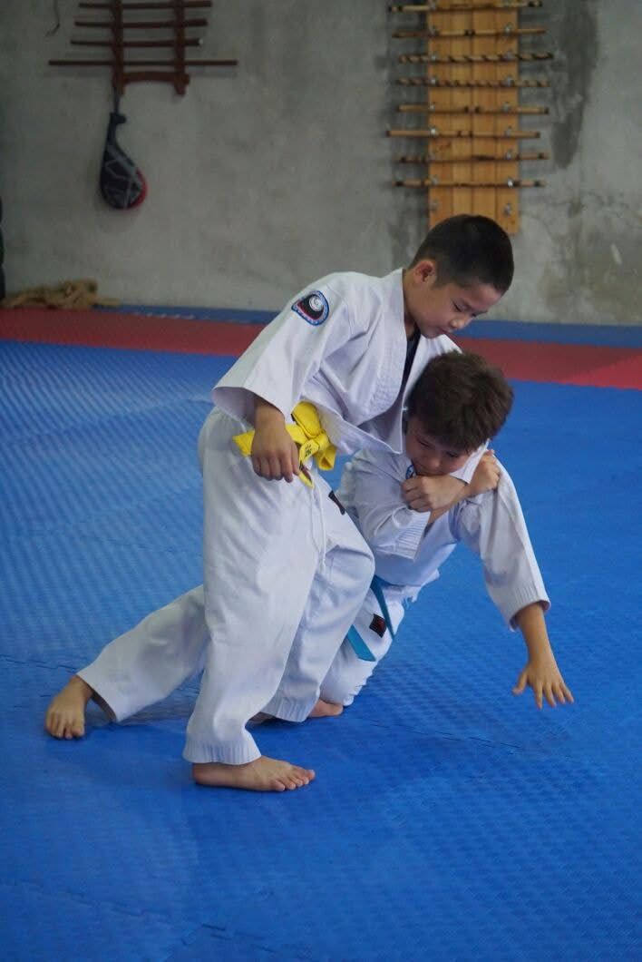 Young students practicing Aikido techniques together